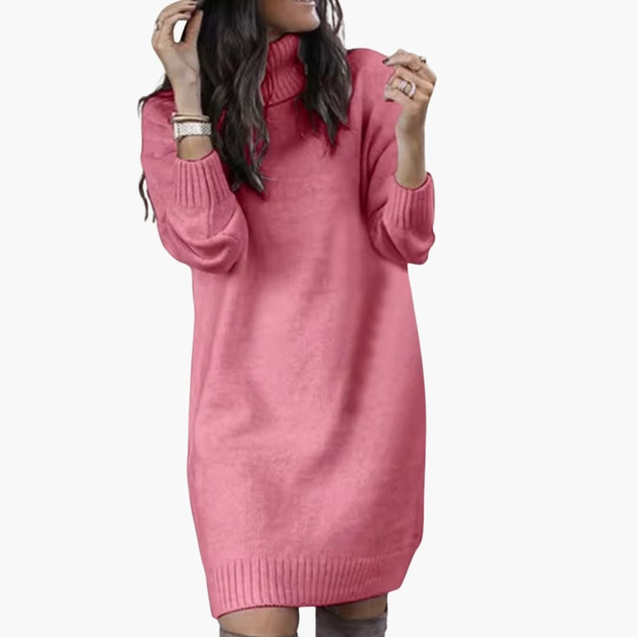 Damen Pulloverkleid mit Rollkragen