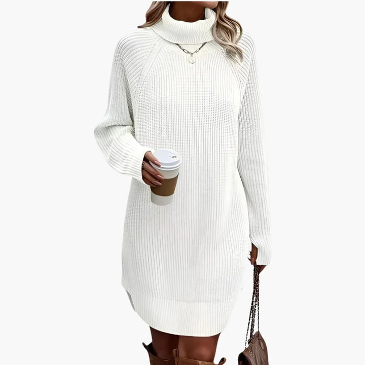 Damen Strickkleid mit Rollkragen und langen Ärmeln