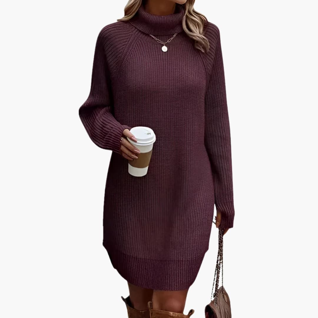 Damen Strickkleid mit Rollkragen und langen Ärmeln