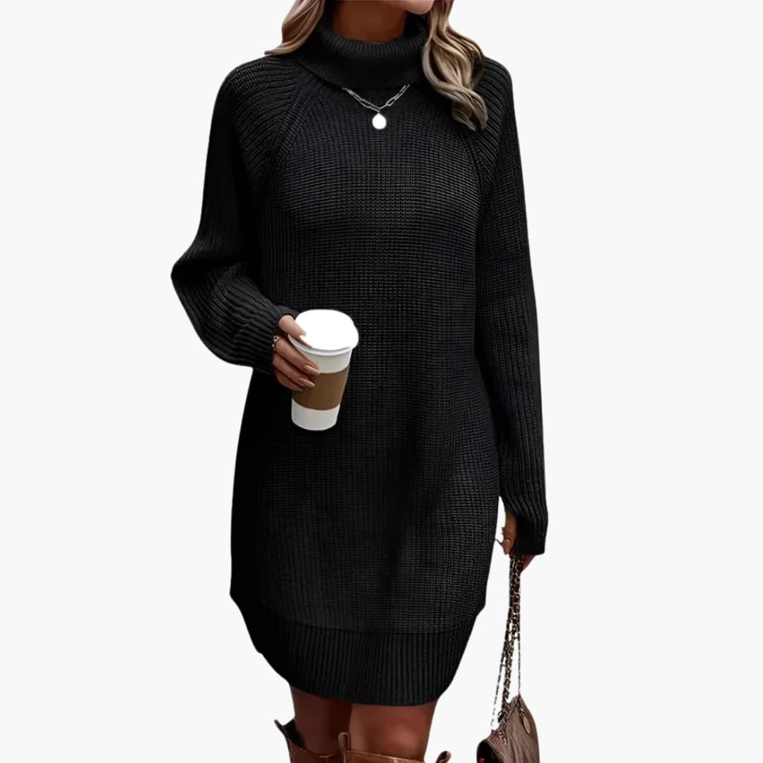 Damen Strickkleid mit Rollkragen und langen Ärmeln